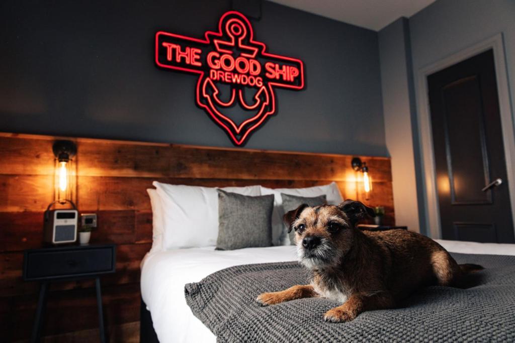 Brewdog Kennels - Aberdeen Extérieur photo